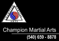 champion martial arts